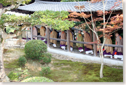 �������J�R���F�J�R����