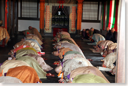 �������J�R���F�O�q