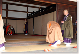 �������J�R���F�ǒ��ǉ��ɒᓪ