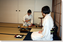 ���������̗l�q�T