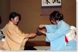 ���������̗l�q�U